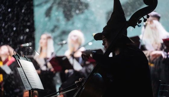 Nella Musica Orchestra. Гарри Поттер и СимфоМультимедия