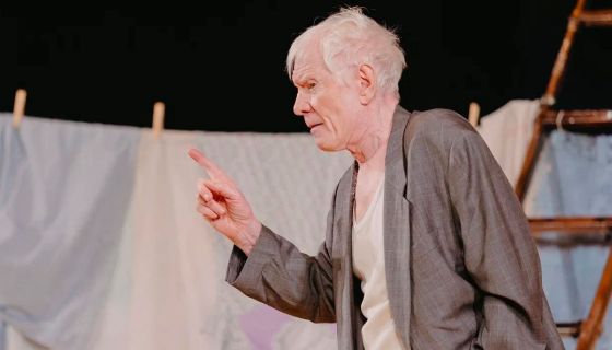 Спектакль «Любовь и голуби»