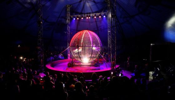 Цирк «VIVAT», Стерлитамак