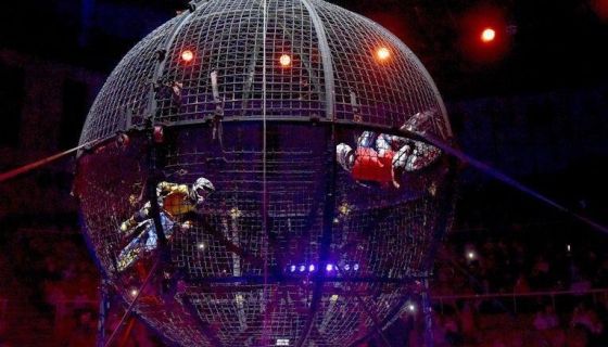 Цирк «VIVAT», Стерлитамак