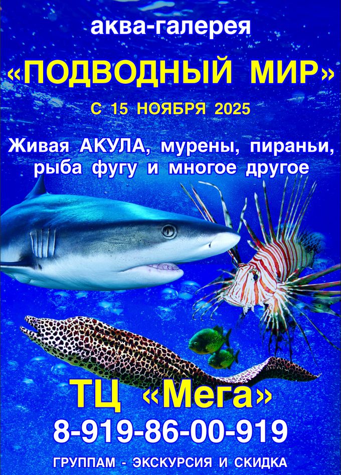 Аква-галерея экзотических рыб «Подводный мир»