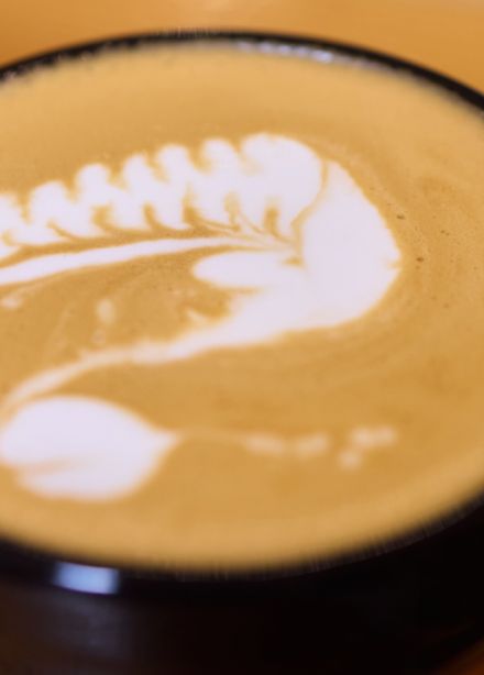 Теория по кофе + дегустация