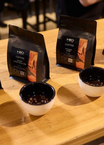 Мастер-класс по завариванию V-60