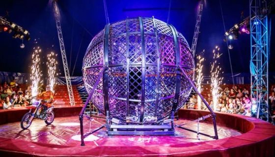 Цирк-шапито «Счастья»