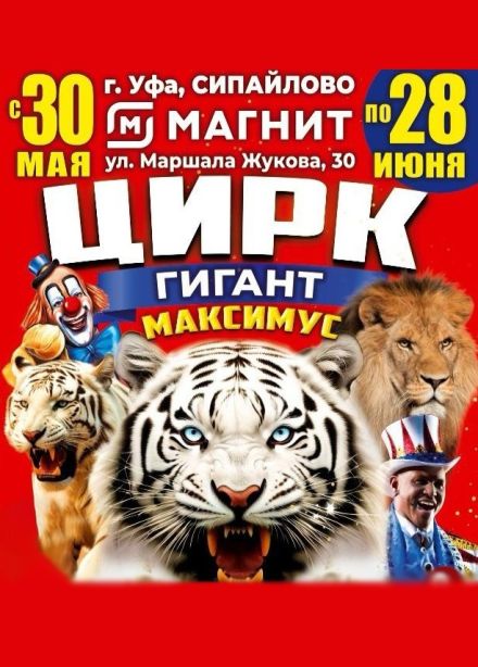 Цирк-шапито «Максимус»