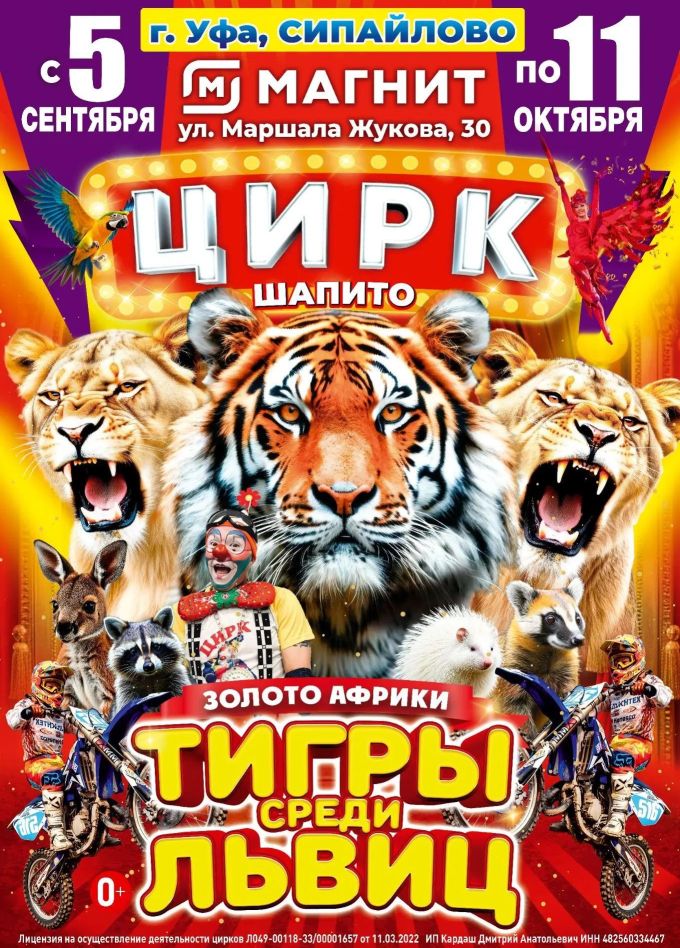 Цирк-шапито «Золото Африки»