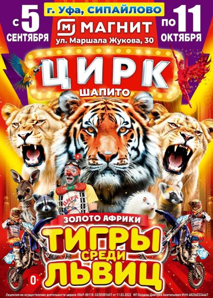 Цирк-шапито «Золото Африки»